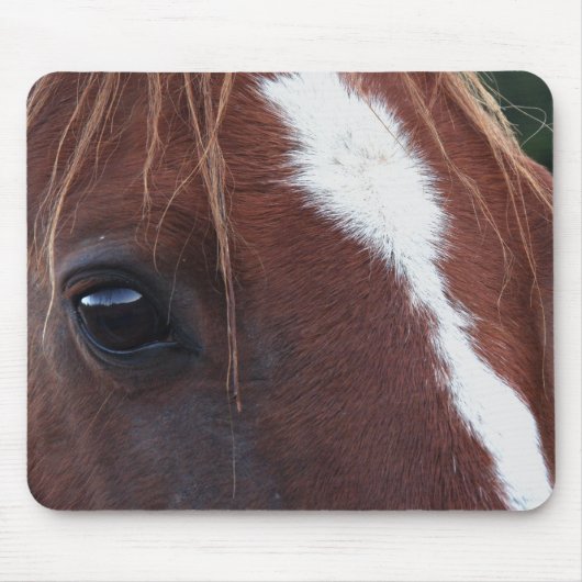 Paardenkruid Muismat (Voorkant)