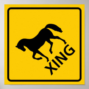 Paardenkruising Poster