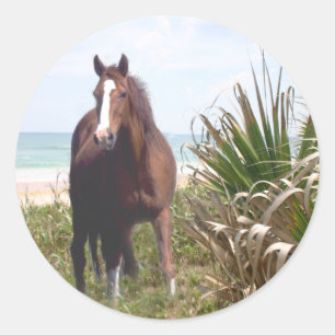 Paardenkruk Ronde Sticker