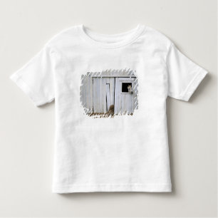 Paardenkruk uit het raam kinder shirts