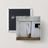 Paardenkruk uit het raam vierkante button 5,1 cm (Voorkant /achterkant)