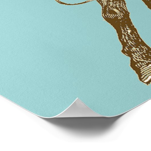  paardenkunst poster (Hoek)