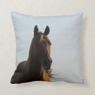 Paardenkussen Kussen