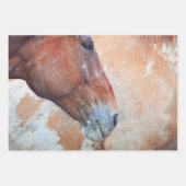 Paardenland Rustic Brown Westerne ontkoppeling Inpakpapier Vel (Voorkant 3)