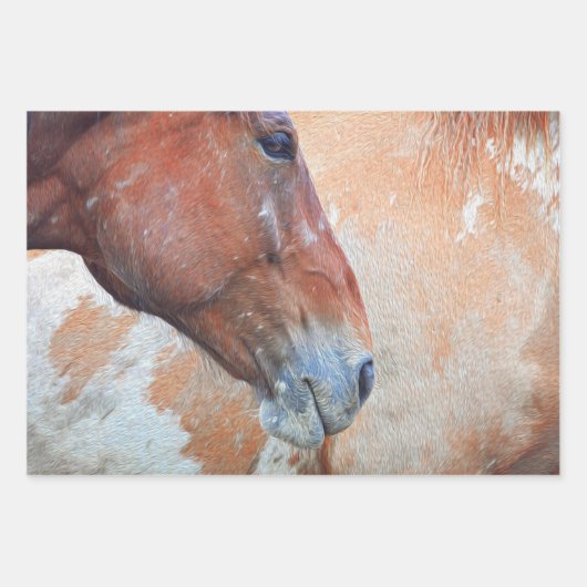 Paardenland Rustic Brown Westerne ontkoppeling Inpakpapier Vel (Voorkant)