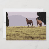 Paardenland Uitnodiging tot bruiloft (Achterkant)