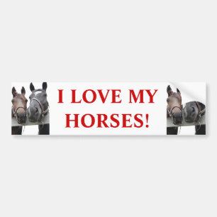 Paardenliefde Bumpersticker