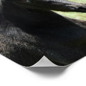 Paardenliefde moeder en baby poster (Hoek)