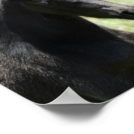 Paardenliefde moeder en baby poster (Hoek)