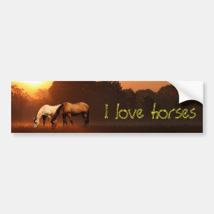 Paardenliefhebber Bumpersticker