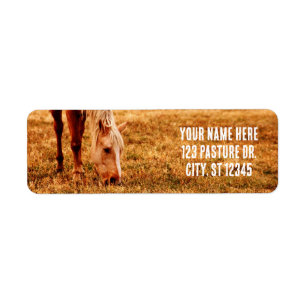 PAARDENLIEFHEBBERS ETIKET