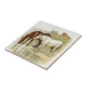  paardenliefhebbers home decor tegel tegeltje (Zijkant)