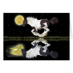 Paardenliefhebbers van paardenliefhebbers