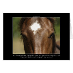 Paardenliefhebbers van paardenliefhebbers