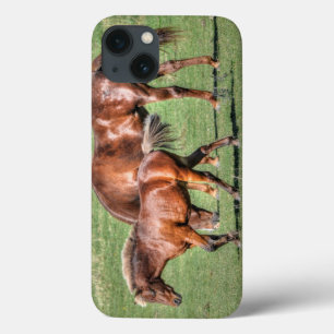 Paardenliefhebbers van paardenliefhebbers iPhone 13 hoesje