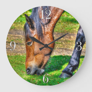 Paardenliefhebbers van paardenliefhebbers grote klok