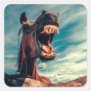 Paardenmond Teth Neigh Wild Horse Animal Vierkante Sticker