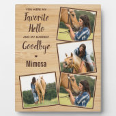 Paardenmonument 4 Foto Fotoplaat (Voorkant)