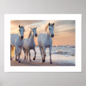 paardenmuur Decor Poster (Voorkant)