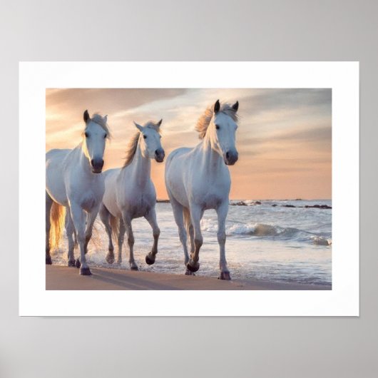 paardenmuur Decor Poster (Voorkant)