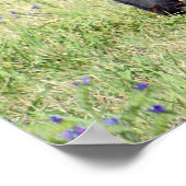 Paardennaburig Poster (Hoek)