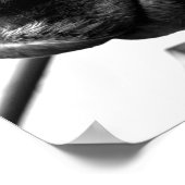 Paardenneus Poster (Hoek)