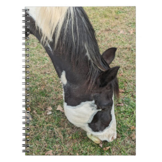 Paardennotitieboek Notitieboek