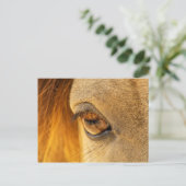 Paardenoog Briefkaart (Staand voorkant)