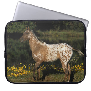 Paardenpaardje van Appaloosa Laptop Sleeve