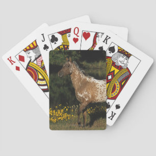 Paardenpaardje van Appaloosa Speelkaarten