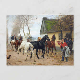 Paardenpakje circa 1878 briefkaart