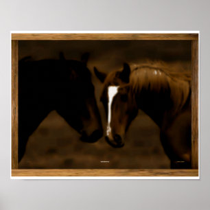 paardenparaten poster