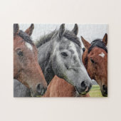 paardenpest legpuzzel (Horizontaal)