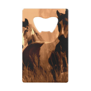 Paardenpitten Kredietkaart Flessenopener