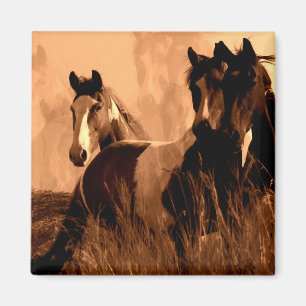 Paardenpitten Magneet