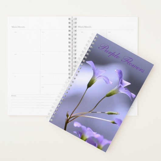 Paardenplank Planner (Display)