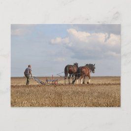 Paardenploeg: Great Dorset Steam Fair Briefkaart