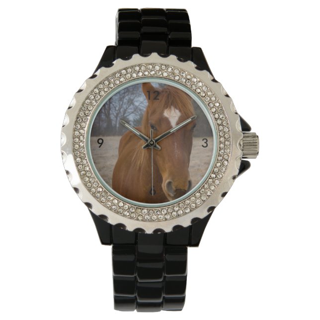 Paardenpoothorloge Horloge (Voorkant)