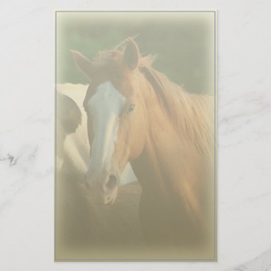 Paardenportret briefpapier (Voorkant)