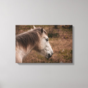 Paardenportret Canvas Afdruk