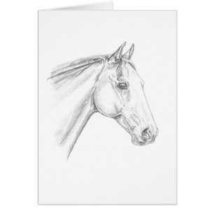 Paardenportret in potlood