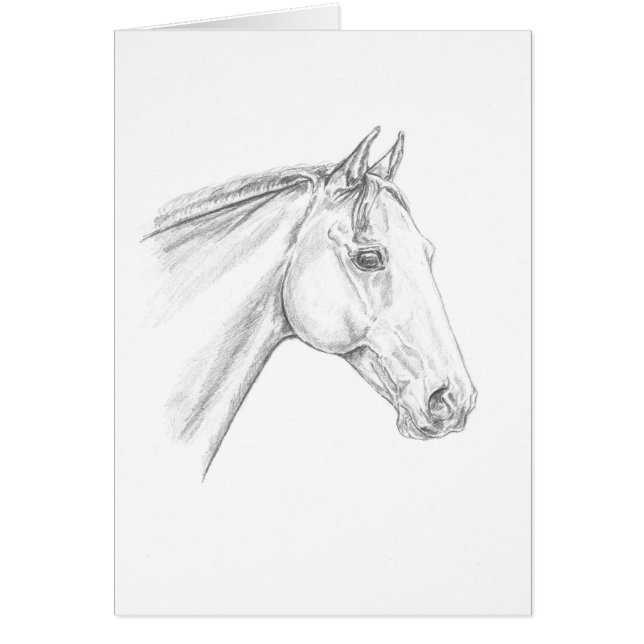 Paardenportret in potlood (Voorkant)