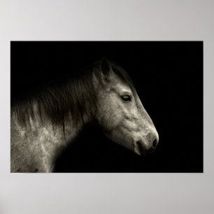 Paardenportret Poster