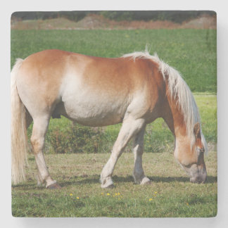 Paardenportret Stenen Onderzetter