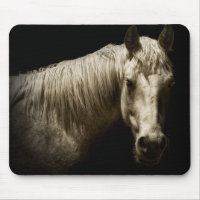 Paardenportret VI
