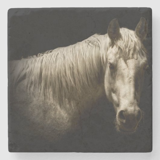 Paardenportret VI Stenen Onderzetter (Voorkant)