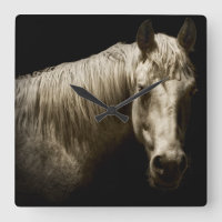 Paardenportret VI