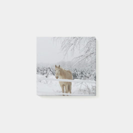 paardenpost post-it® notes