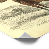  paardenprintplaat van Brood Mare Poster (Hoek)