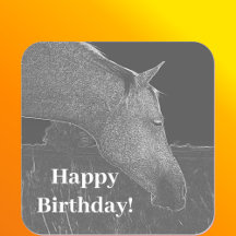 Paardenprofiel in Grijs Happy Birthday Kunstwerk